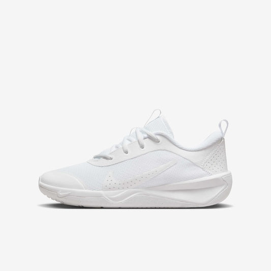 Nike Omni Multi-Court