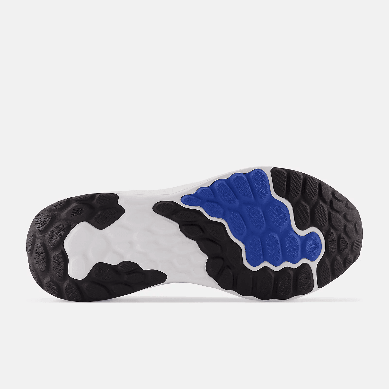 New Balance Fresh Foam Arishi v4 Shoes - Harbi Brands