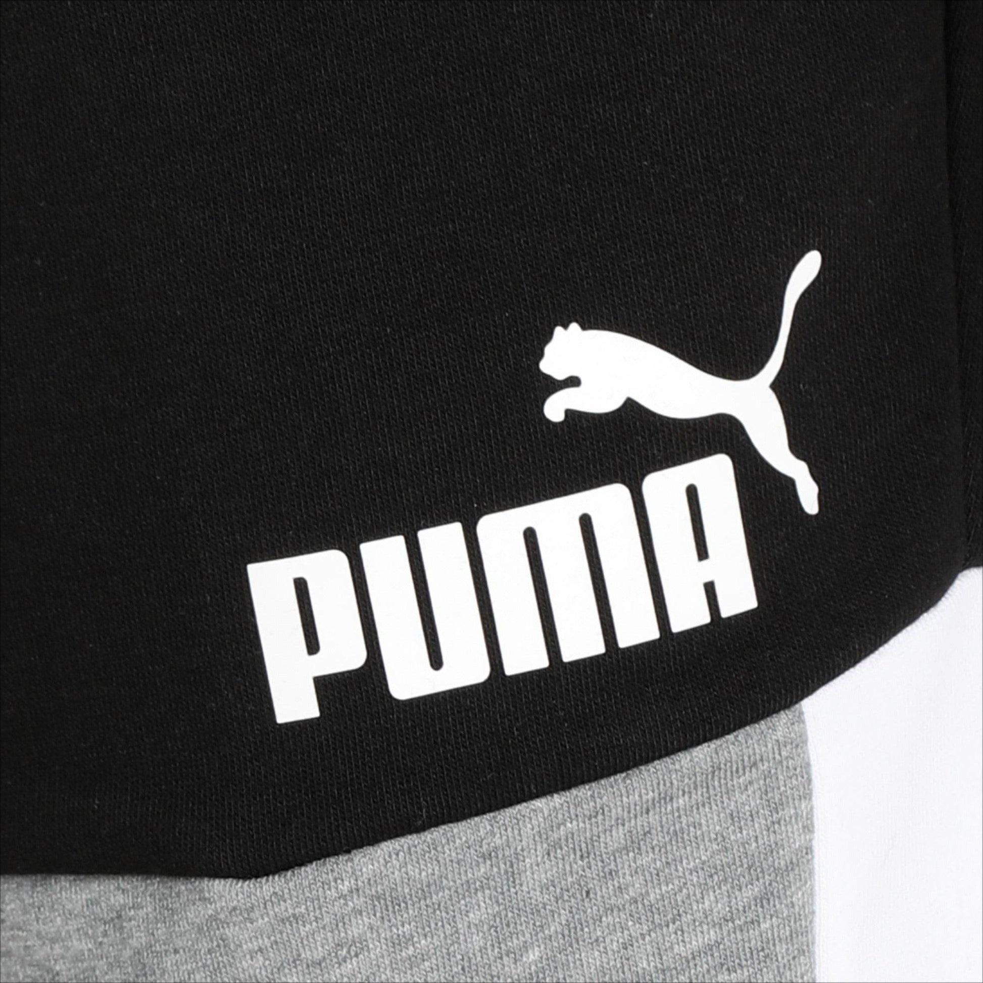 Puma Colorblock Men's Regular Fit Shorts - Harbi Brands