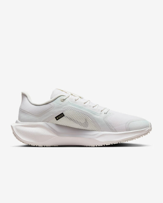 Nike Pegasus 41 GORE-TEX